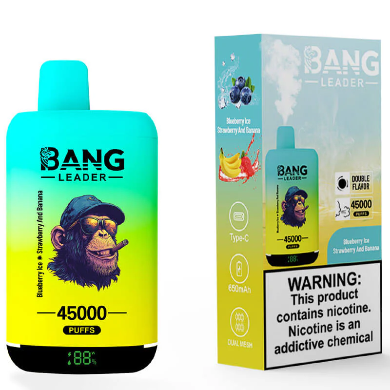 Bang Leader 45000 Puffs 2in1 Disposable Vape - Image 5